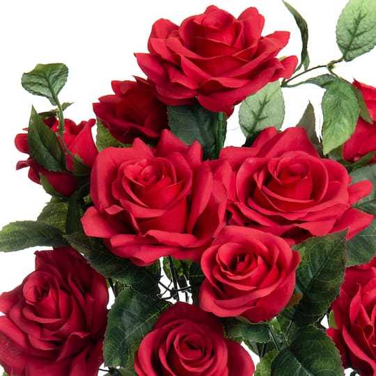 Red Rose Bush by Ashland®